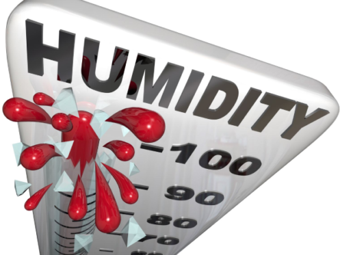 High Humidity in Palm Beach, Florida